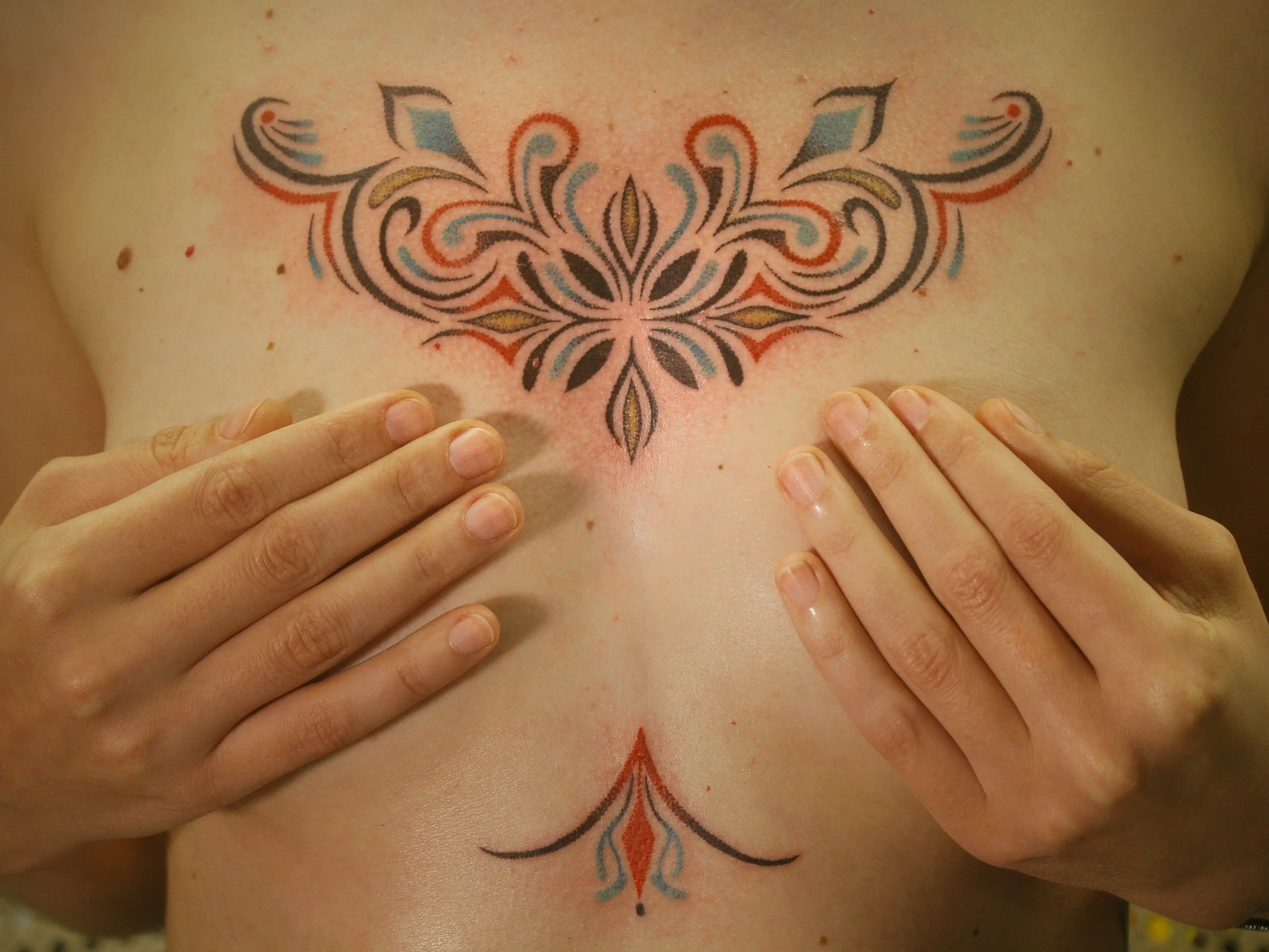 Lady Bao's first large chest piece, inspired by the picaso bug.